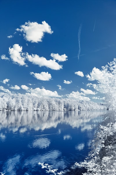 白雪覆盖的树木旁边蓝色的水域在蓝天和白云
